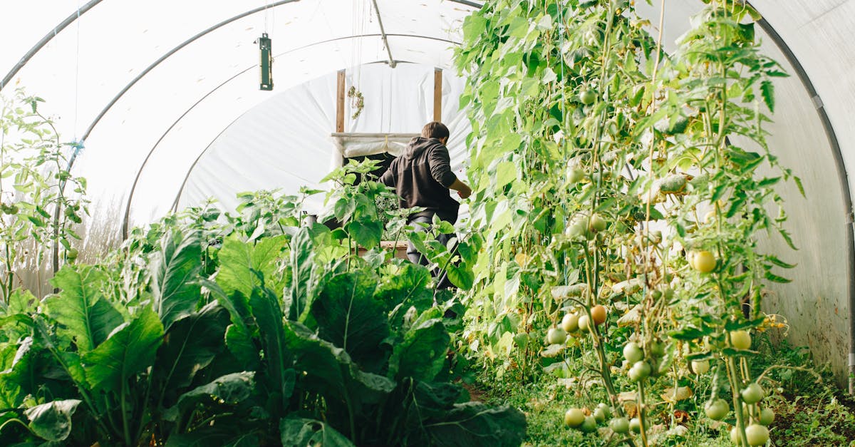 découvrez l'art du jardinage avec nos conseils pratiques, astuces et techniques pour cultiver un jardin florissant. que vous soyez débutant ou expert, apprenez à choisir les meilleures plantes, entretenir votre espace vert et profiter des joies du jardinage tout au long de l'année.