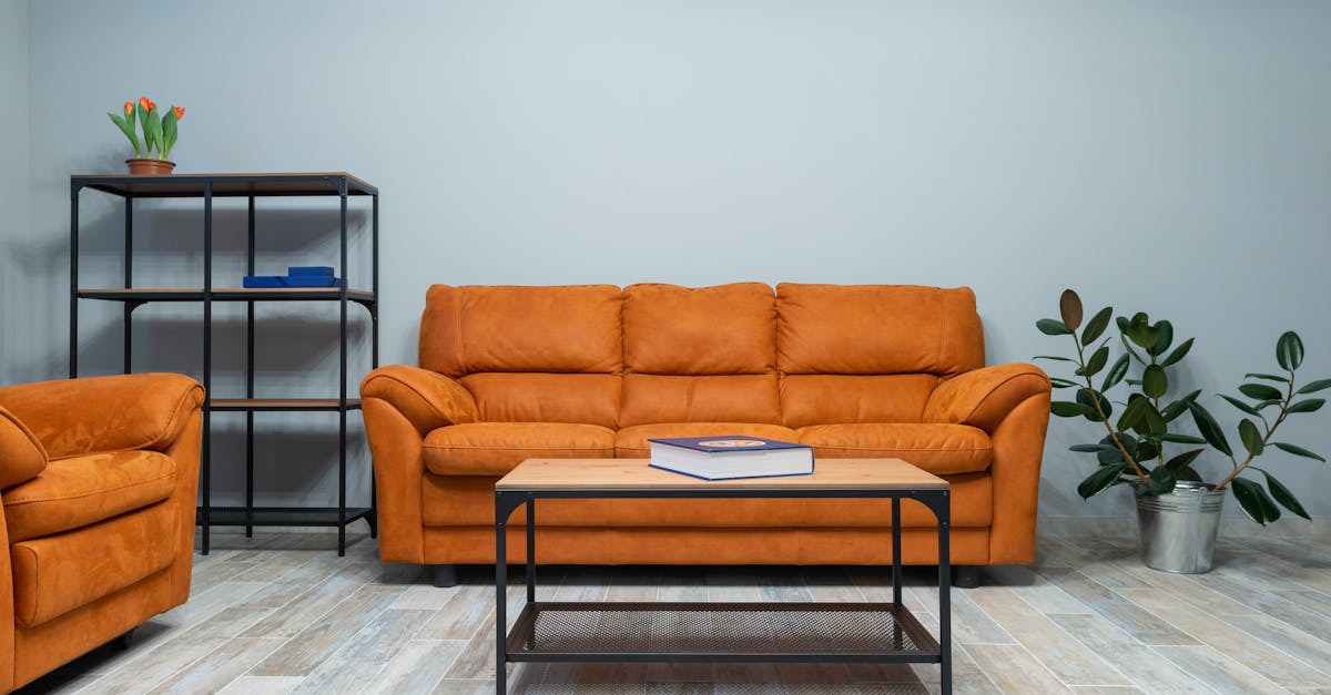 découvrez comment intégrer un canapé orange dans votre décoration intérieure pour apporter chaleur et dynamisme à votre espace. explorez des astuces et des inspirations pour harmoniser ce meuble audacieux avec d'autres couleurs et styles.