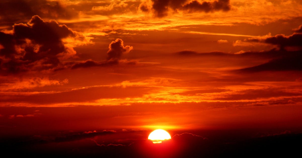 découvrez les volets roulants solaires, une solution éco-responsable alliant confort et économie d'énergie. profitez d'une isolation optimale tout en maîtrisant votre consommation électrique grâce à cette technologie innovante.