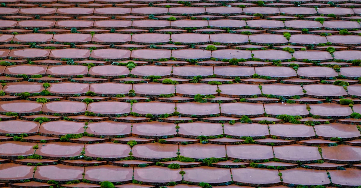 découvrez nos services de maintenance de carrelage pour assurer la durabilité et l'éclat de vos surfaces. profitez de conseils d'experts pour l'entretien, le nettoyage et la réparation de vos tuiles. pour un revêtement impeccable et résistant, faites appel à nos spécialistes!