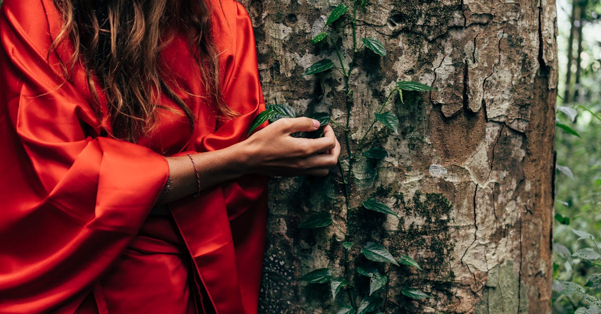 découvrez l'élégance naturelle du wash de chaux sur les troncs d'arbres. transformez vos espaces extérieurs avec une finition authentique qui met en valeur la texture du bois tout en offrant une protection durable. idéal pour un look rustique et moderne à la fois.