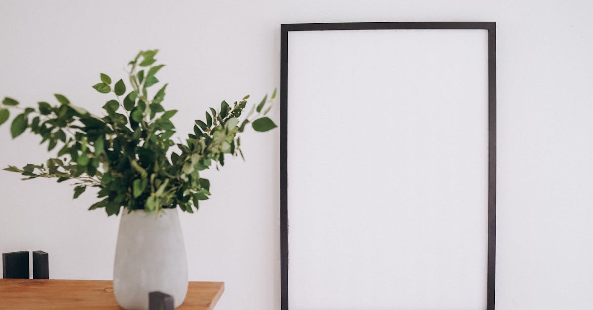 découvrez comment installer facilement une étagère murale avec notre guide étape par étape. transformez votre espace en alliant fonctionnalité et style grâce à nos conseils pratiques et astuces d'experts.