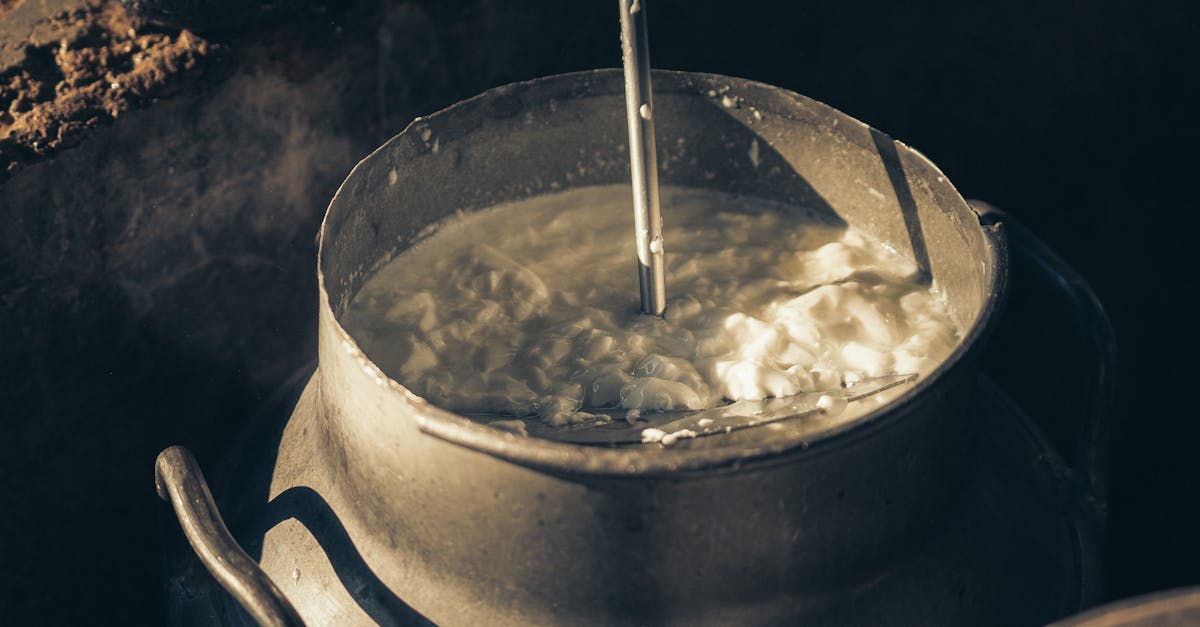 découvrez le calcium hypochlorite, un puissant désinfectant et agent de traitement de l'eau. idéal pour les piscines, il permet de maintenir une eau claire et saine en éliminant les bactéries et les algues. apprenez-en plus sur ses utilisations, ses avantages et des conseils de sécurité.