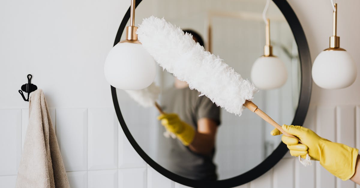 découvrez nos conseils et astuces pour un nettoyage efficace de votre maison ou entreprise. produits, techniques et solutions pour une propreté impeccable au quotidien !
