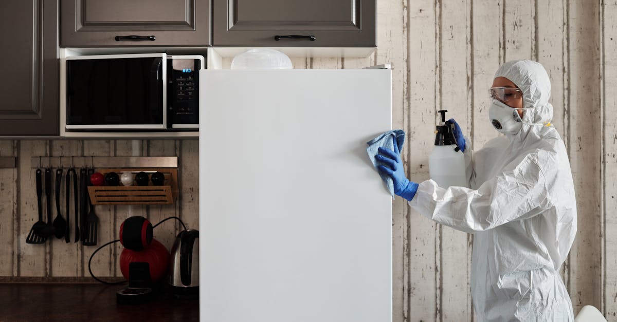 découvrez nos conseils et astuces pour un cleaning efficace, des méthodes écologiques aux produits recommandés, afin de garder votre intérieur propre et sain au quotidien.