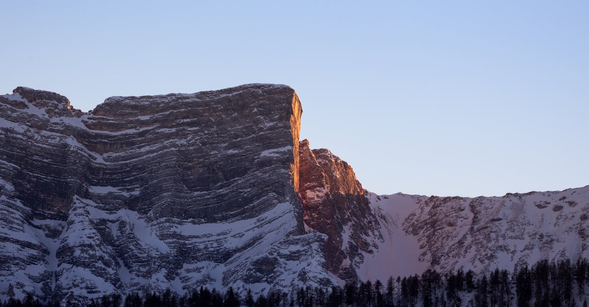 découvrez tout ce qu'il faut savoir sur les murs en torchis (cob wall) : avantages, techniques de construction, isolation écologique et conseils pour intégrer cette méthode durable à votre habitat.