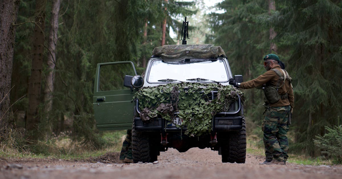 découvrez le concept de concealment : techniques, stratégies et exemples de dissimulation et camouflage, applications en sécurité, design et au quotidien.
