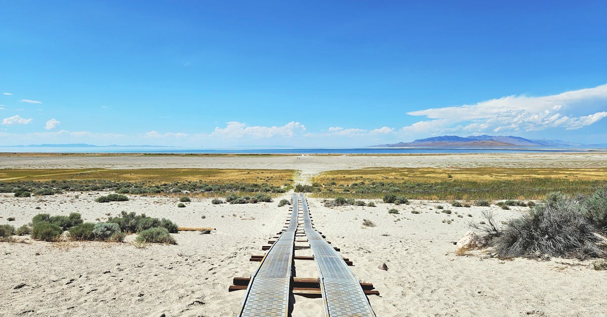 découvrez le sable sec, une solution moderne et efficace pour l'isolation et le nivellement de vos surfaces. cette méthode rapide et durable offre un excellent confort thermique et acoustique, tout en réduisant le temps de séchage. idéale pour vos projets de construction ou de rénovation.