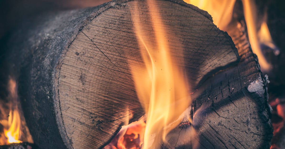 découvrez tout ce qu'il faut savoir sur le bois de chauffage : conseils pour bien choisir, stocker et utiliser votre firewood efficacement afin d'obtenir une chaleur optimale tout en respectant l’environnement.