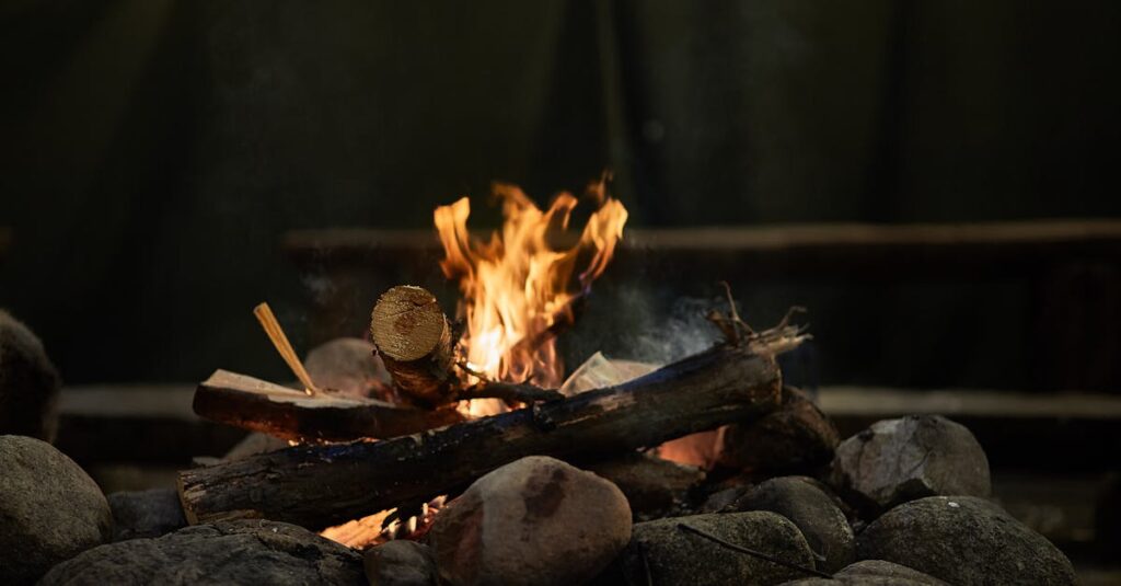 découvrez comment bien choisir, stocker et utiliser le bois de chauffage pour une combustion optimale. conseils pratiques, types de bois adaptés et astuces pour économiser de l’énergie cet hiver.