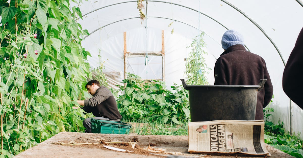 découvrez des conseils pratiques et astuces pour réussir votre jardinage, entretenir vos plantes et aménager un espace vert agréable, que vous soyez débutant ou passionné de jardinage.