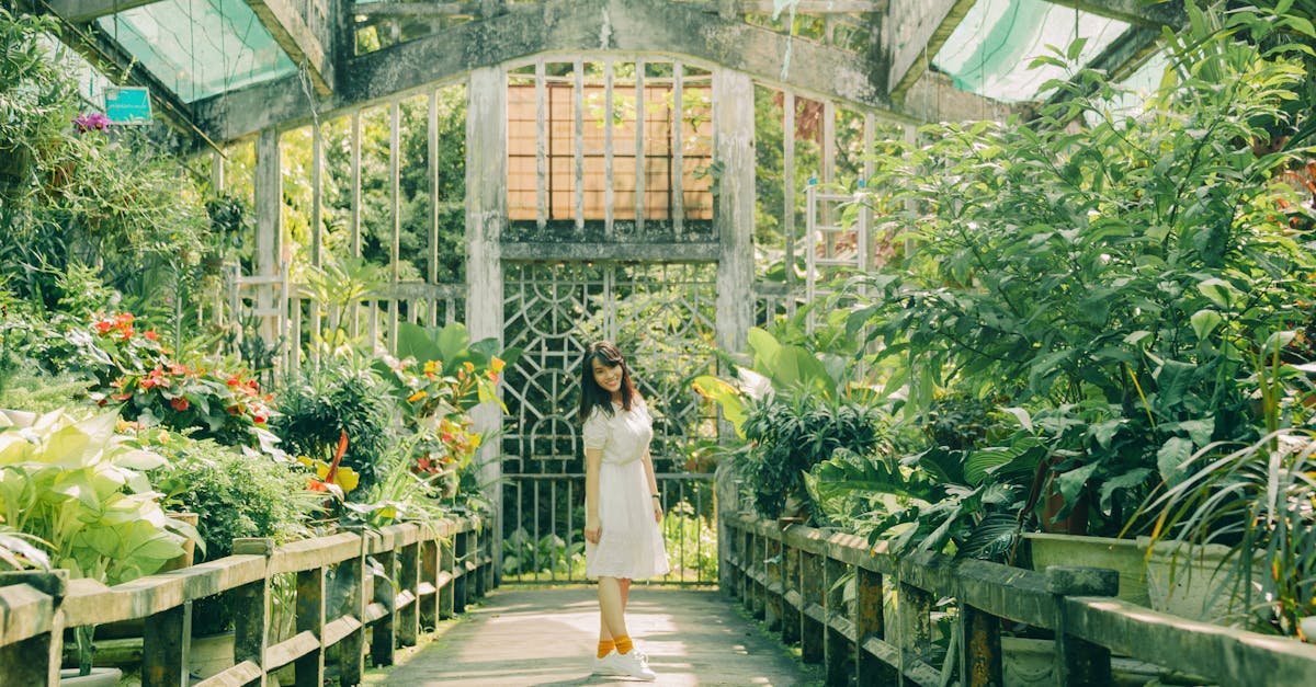 découvrez tout sur les serres : conseils d’installation, astuces d’entretien et idées pour cultiver vos plantes toute l’année, que vous soyez jardinier débutant ou expert.