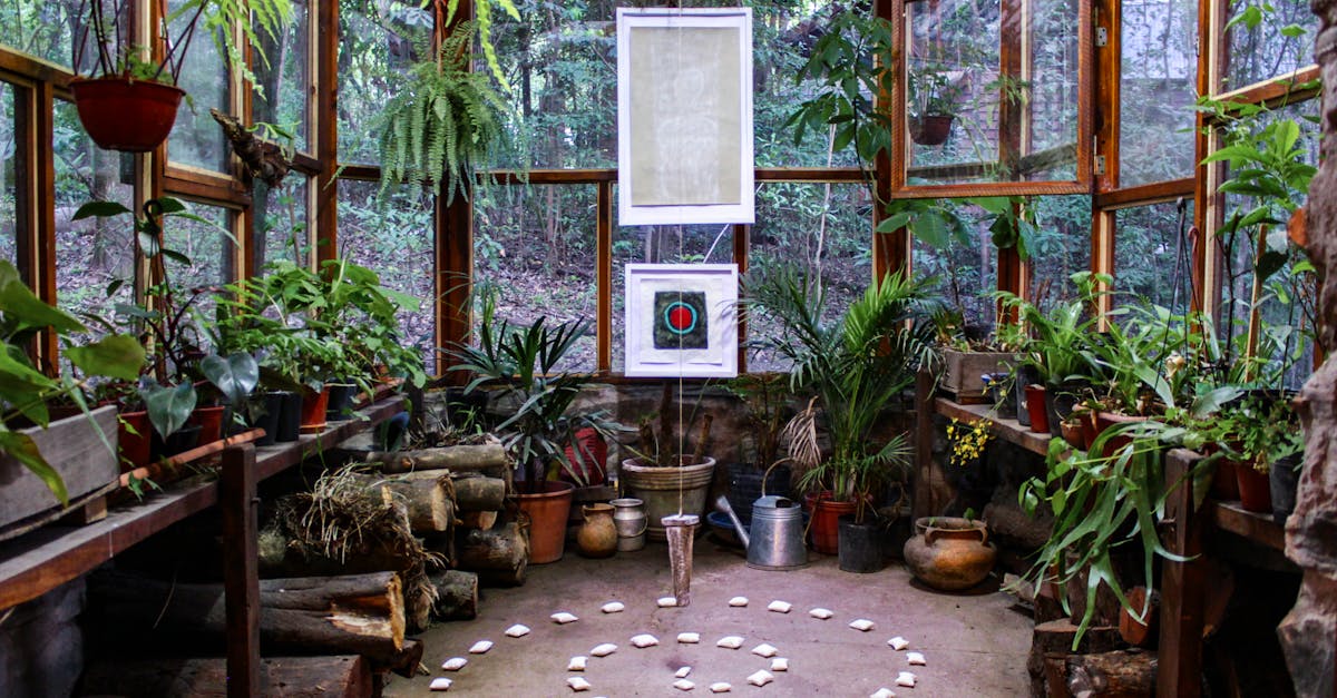 découvrez tout sur les serres : conseils pour choisir, installer et entretenir votre greenhouse afin de cultiver vos plantes toute l'année, même en climat tempéré.