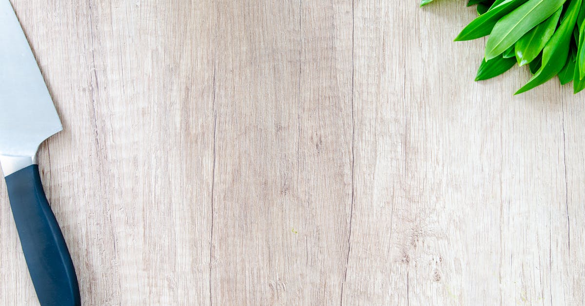 découvrez tout sur la cuisine : astuces, recettes, équipements et conseils pour optimiser votre espace et préparer des plats délicieux au quotidien.