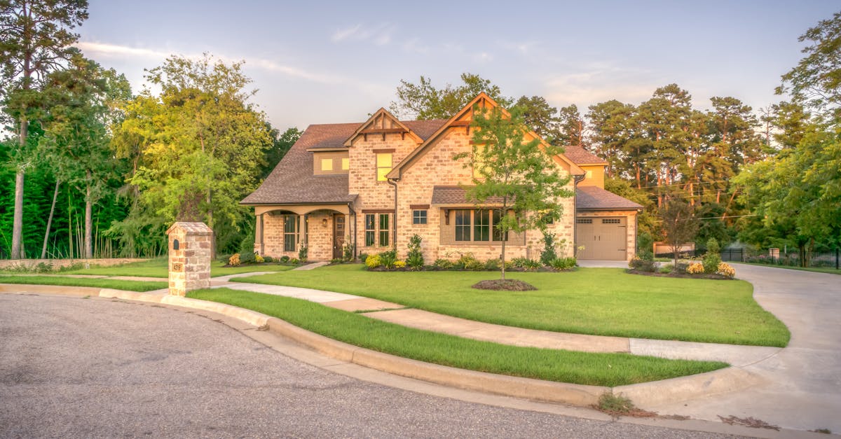 découvrez tout sur le lawn : astuces d’entretien, choix des meilleures graines, conseils pour un gazon vert et en pleine santé toute l’année.