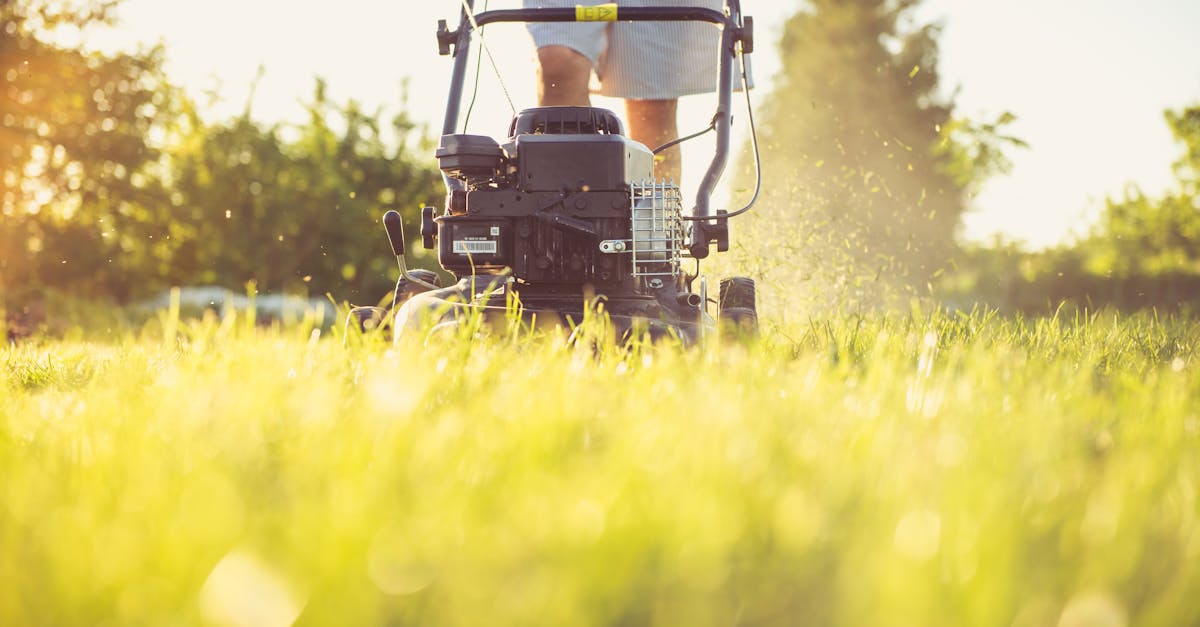 découvrez nos conseils et astuces pour une tonte de pelouse impeccable. obtenez un gazon sain et bien entretenu grâce à des méthodes efficaces de lawn mowing adaptées à tous les types de jardins.