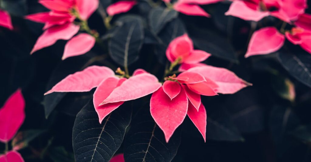 découvrez le charme d'un winter garden, espace lumineux et chaleureux pour profiter de votre intérieur toute l'année, même en hiver. idéal pour les plantes et la détente.