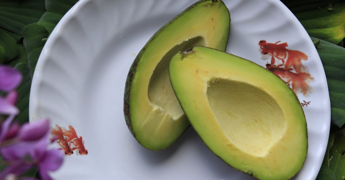 découvrez tous les bienfaits de l’avocat : un fruit savoureux, riche en nutriments, parfait pour une alimentation saine et variée. conseils, recettes et astuces pour intégrer l’avocat à vos repas au quotidien.