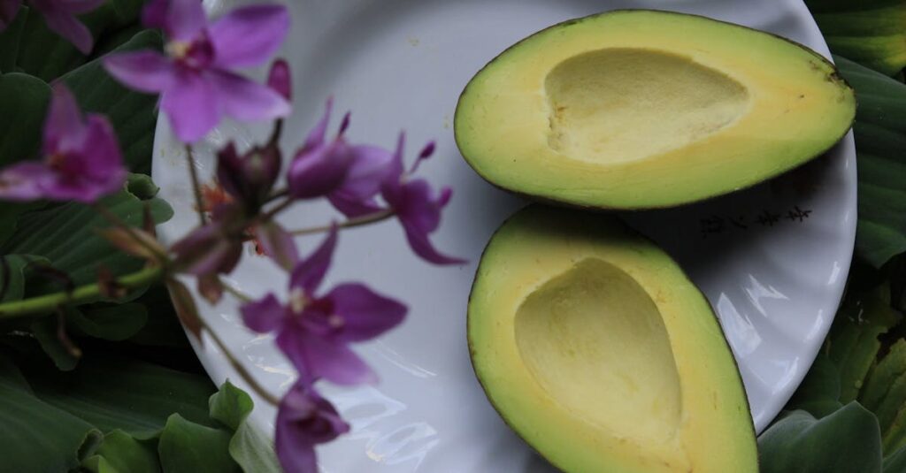 découvrez l'avocat, un fruit délicieux et nutritif, riche en bonnes graisses et en vitamines. idéal pour vos salades, toasts et recettes saines au quotidien.