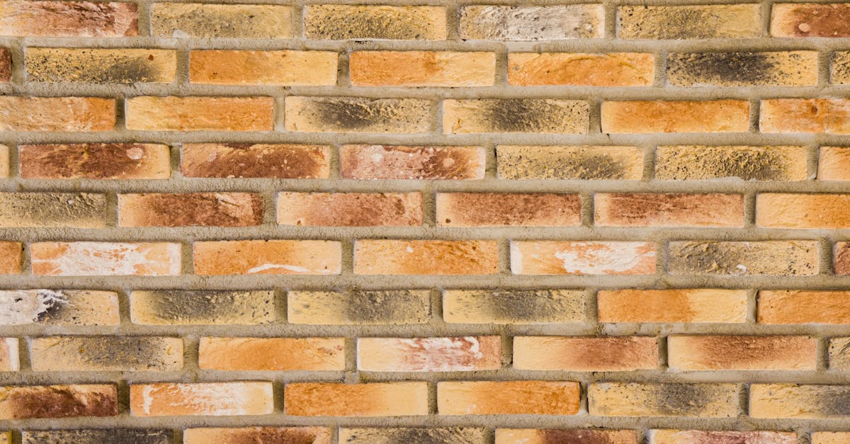 découvrez le cladding : une solution moderne et esthétique pour protéger et habiller les façades de vos bâtiments. avantages, matériaux et conseils pour choisir le meilleur revêtement extérieur.