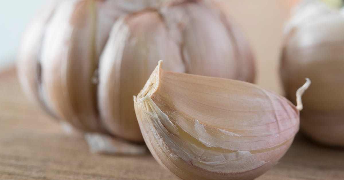 découvrez nos solutions efficaces pour éliminer les mauvaises odeurs de façon naturelle et durable. profitez d’un environnement frais et sain grâce à nos conseils et astuces simples.