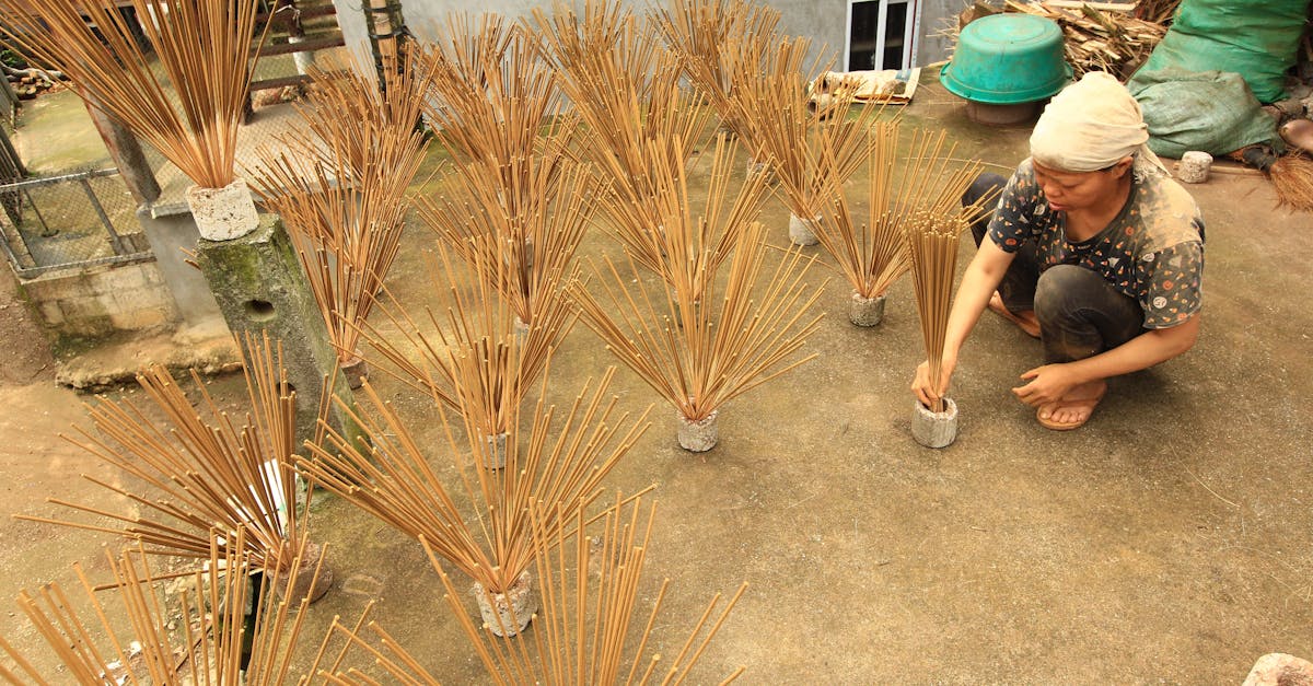 éliminez efficacement les mauvaises odeurs de votre maison, bureau ou voiture grâce à nos solutions innovantes et naturelles. profitez d'un air frais et purifié au quotidien.