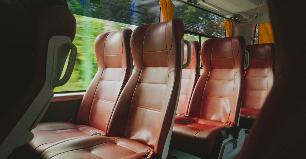 éliminez efficacement les mauvaises odeurs de votre intérieur grâce à nos solutions simples et naturelles. profitez d’un environnement sain et frais au quotidien.