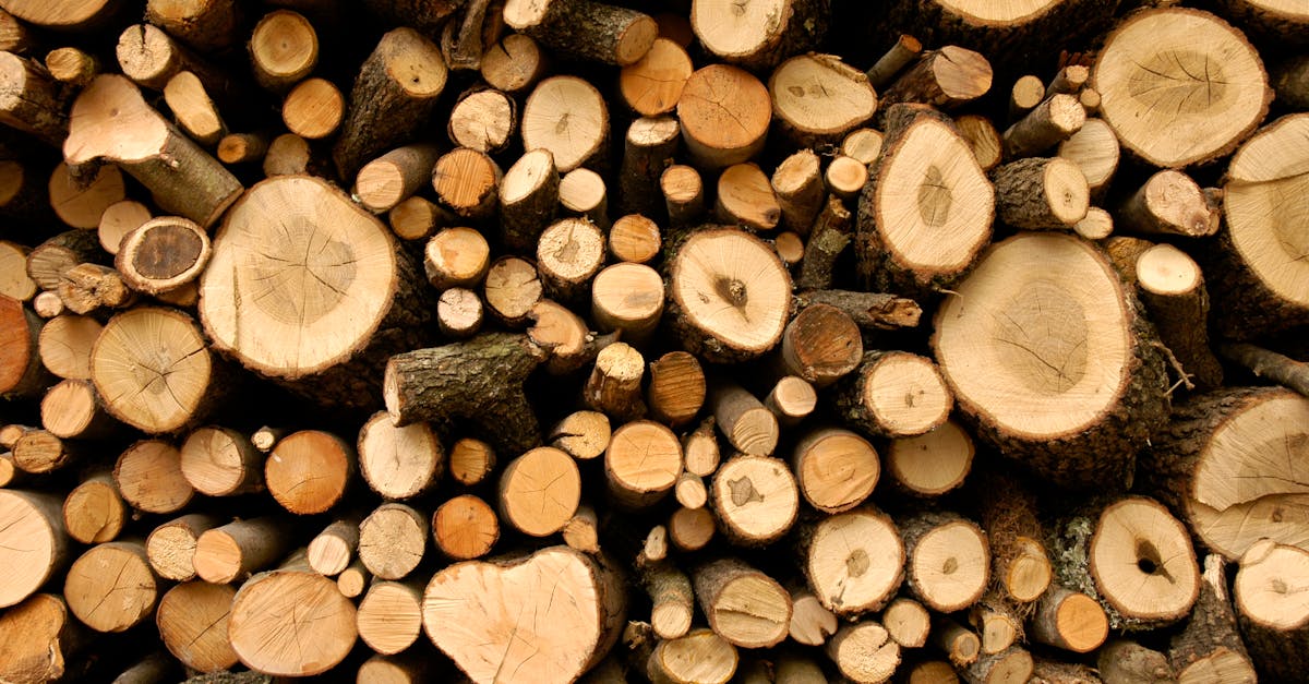 découvrez tout ce qu'il faut savoir sur le bois de chauffage : conseils pour choisir, stocker et utiliser votre bois de manière efficace et écologique. obtenez les meilleures astuces pour un chauffage optimal cet hiver !