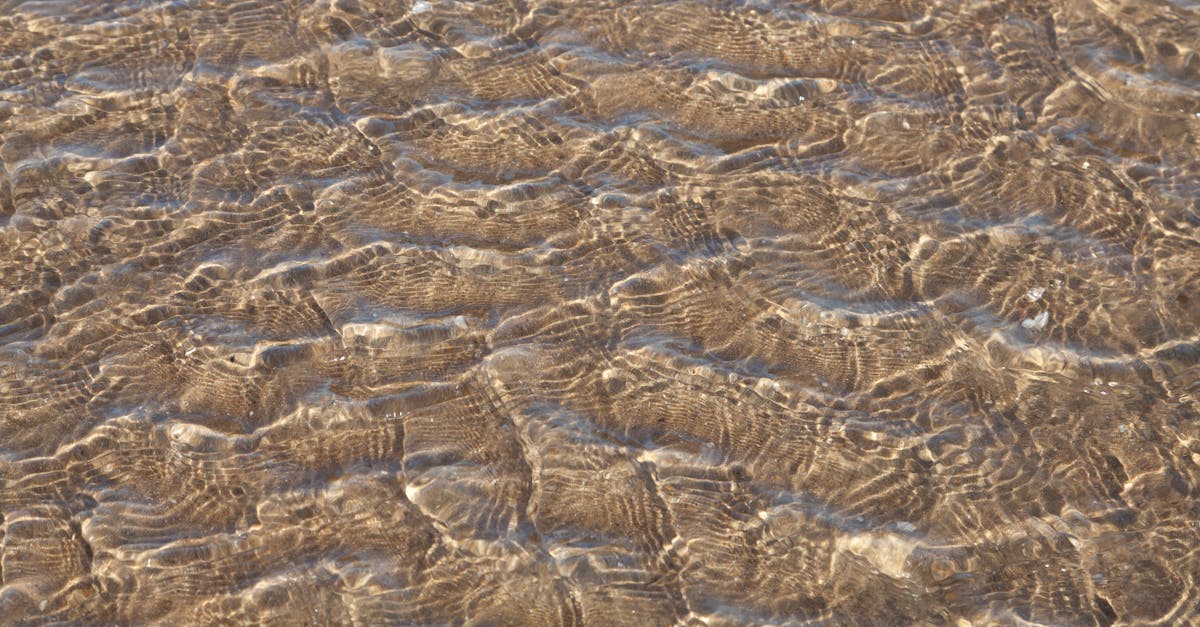 découvrez comment assurer une eau de piscine cristalline grâce à des conseils pratiques pour préserver la clarté et l'hygiène de votre bassin toute la saison.