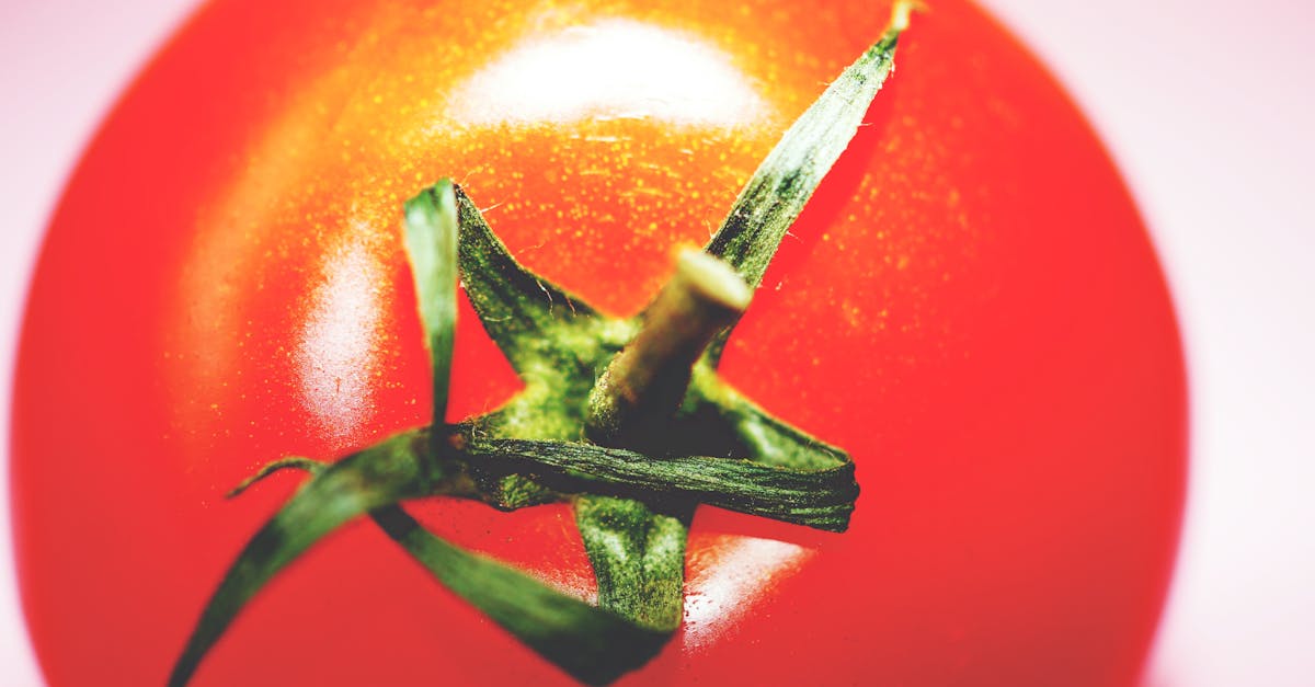 découvrez toutes les informations sur la tomate : ses origines, ses bienfaits nutritionnels, ses variétés et des astuces pour la cultiver ou la cuisiner facilement.