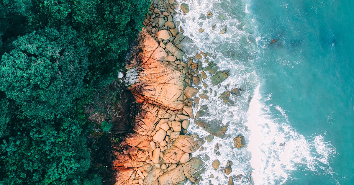 découvrez la beauté intemporelle du turquoise : signification, histoire et conseils pour l’utiliser en décoration, mode ou bijoux. plongez dans l’univers fascinant de cette couleur et pierre précieuse aux multiples vertus.