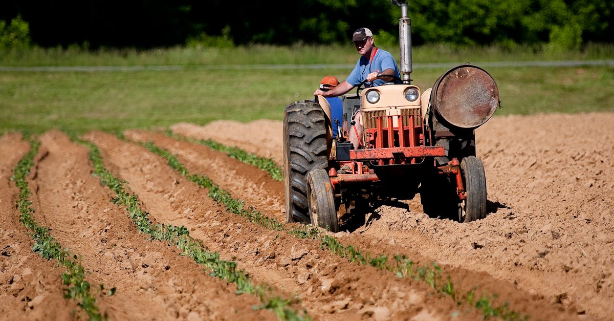 découvrez une large gamme de matériels agricoles performants et innovants pour optimiser vos travaux dans les champs. explorez nos équipements adaptés à tous vos besoins agricoles.
