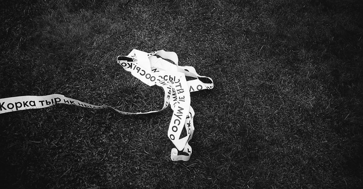 découvrez comment installer du gazon artificiel facilement et durablement. conseils, étapes détaillées et astuces pour une pose réussie de pelouse synthétique dans votre jardin ou terrasse.