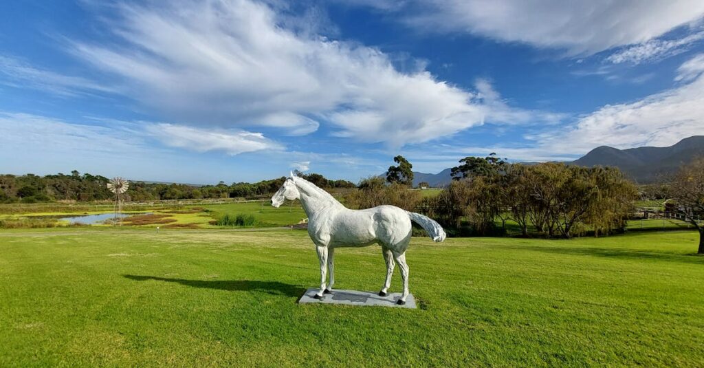 découvrez comment installer du gazon artificiel facilement et rapidement. guide complet sur la pose, les avantages et l'entretien du gazon synthétique pour un jardin parfait toute l'année.