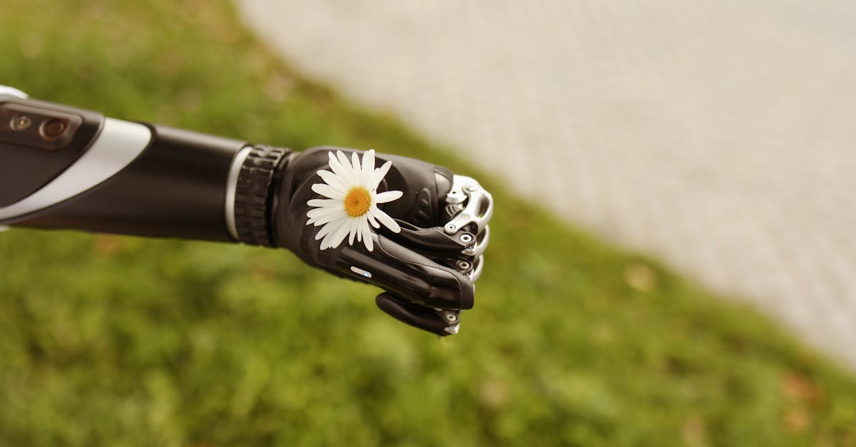 découvrez nos conseils et étapes clés pour l'installation de gazon artificiel, afin de profiter d'un jardin verdoyant et facile d'entretien toute l'année.