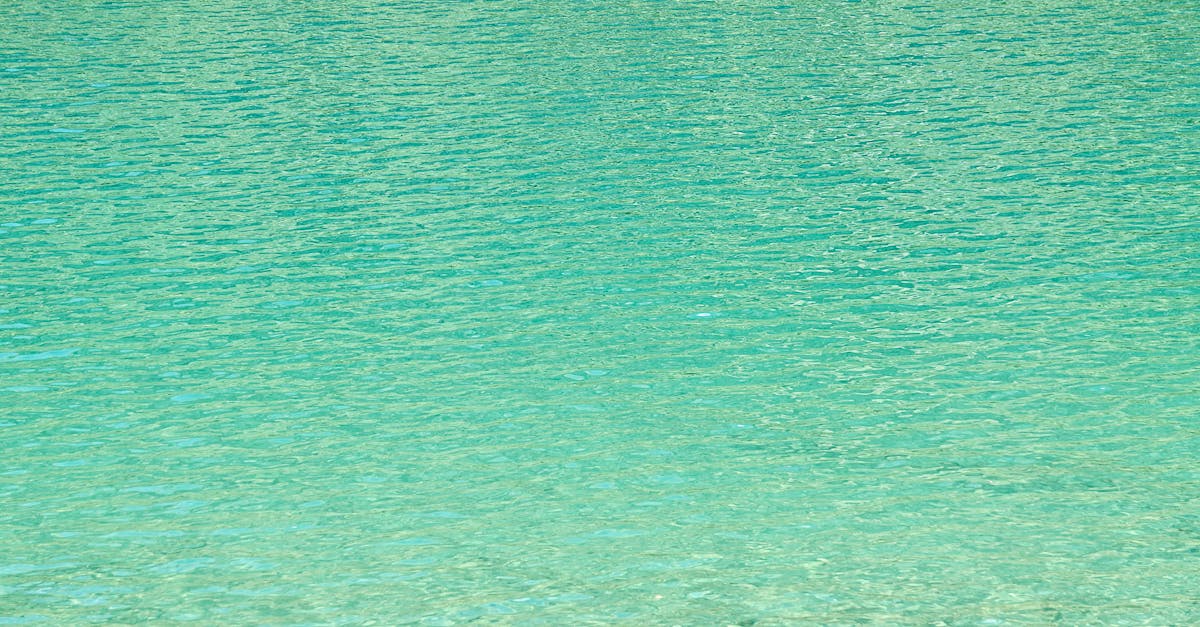 découvrez la beauté et la diversité des nuances de bleu à travers des inspirations, des idées déco et des conseils pour intégrer cette couleur incontournable dans votre quotidien.