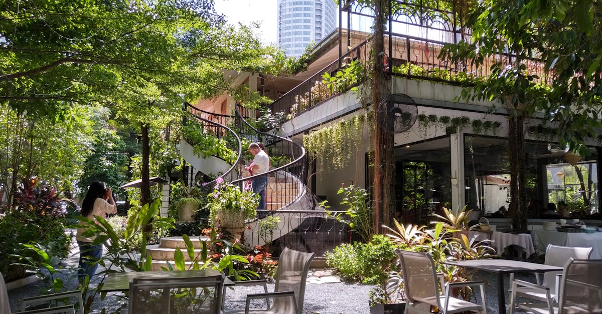 découvrez tout sur le decking : conseils, matériaux, installation et idées pour créer une terrasse extérieure élégante et durable, adaptée à tous les styles de jardin.