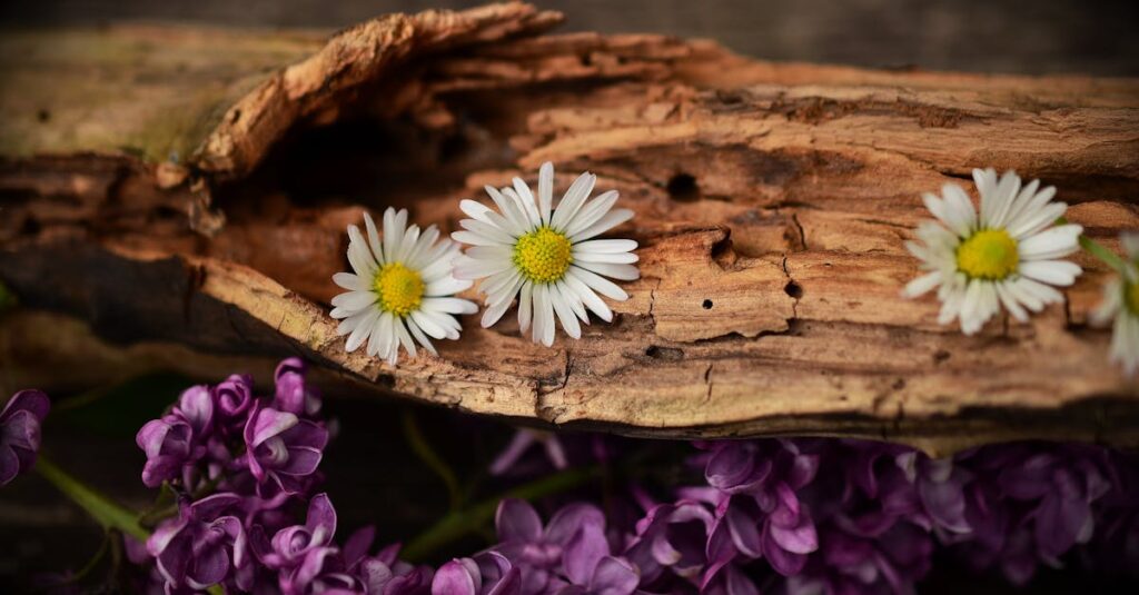 découvrez l’univers fascinant du driftwood : conseils pour choisir, entretenir et décorer avec le bois flotté. idées déco, inspirations diy et astuces pour intégrer le driftwood à votre intérieur ou jardin.