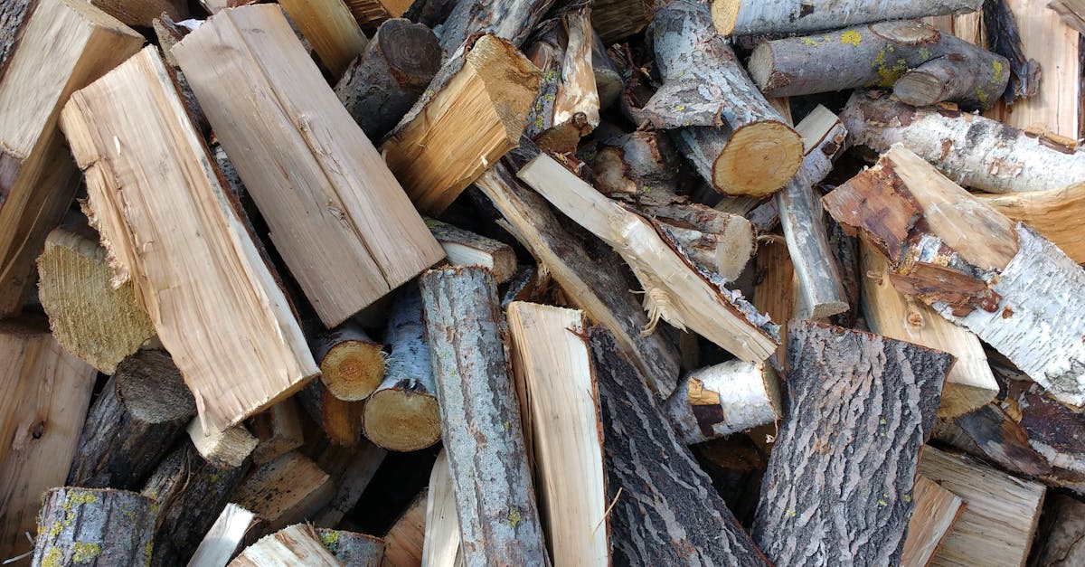 découvrez tout sur le bois de chauffage : conseils pour choisir, stocker et allumer votre bois afin de profiter d'une chaleur naturelle et économique chez vous.