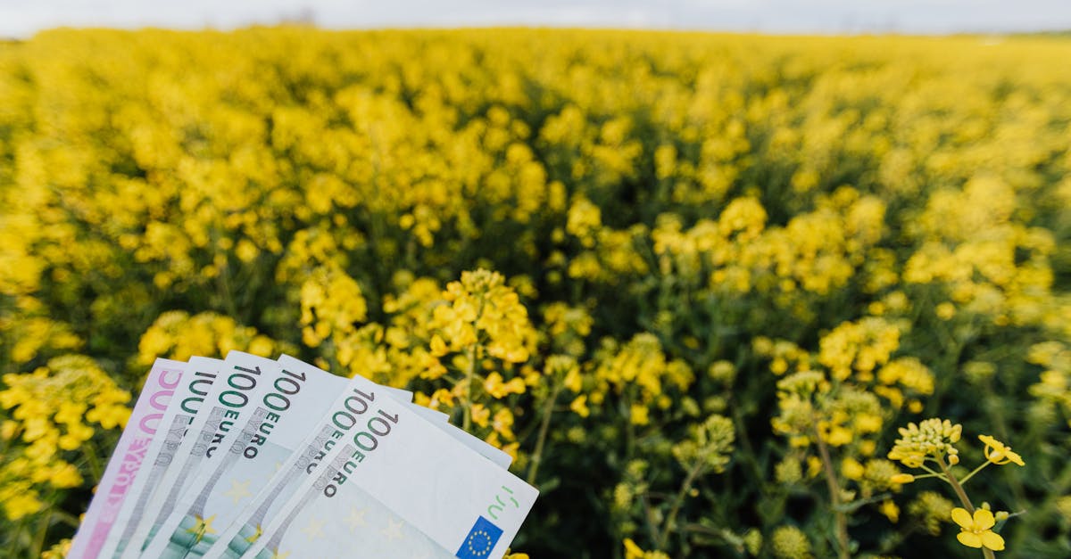 découvrez comment élaborer un land plan efficace pour optimiser l’aménagement, la gestion et la valorisation de votre terrain. suivez nos conseils pour réussir votre projet dès aujourd’hui !