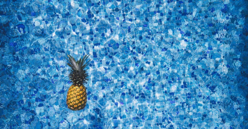 découvrez le coût d'une piscine naturelle : prix de construction, budget d'entretien, facteurs influençant le tarif, et conseils pour évaluer votre investissement dans une piscine écologique.