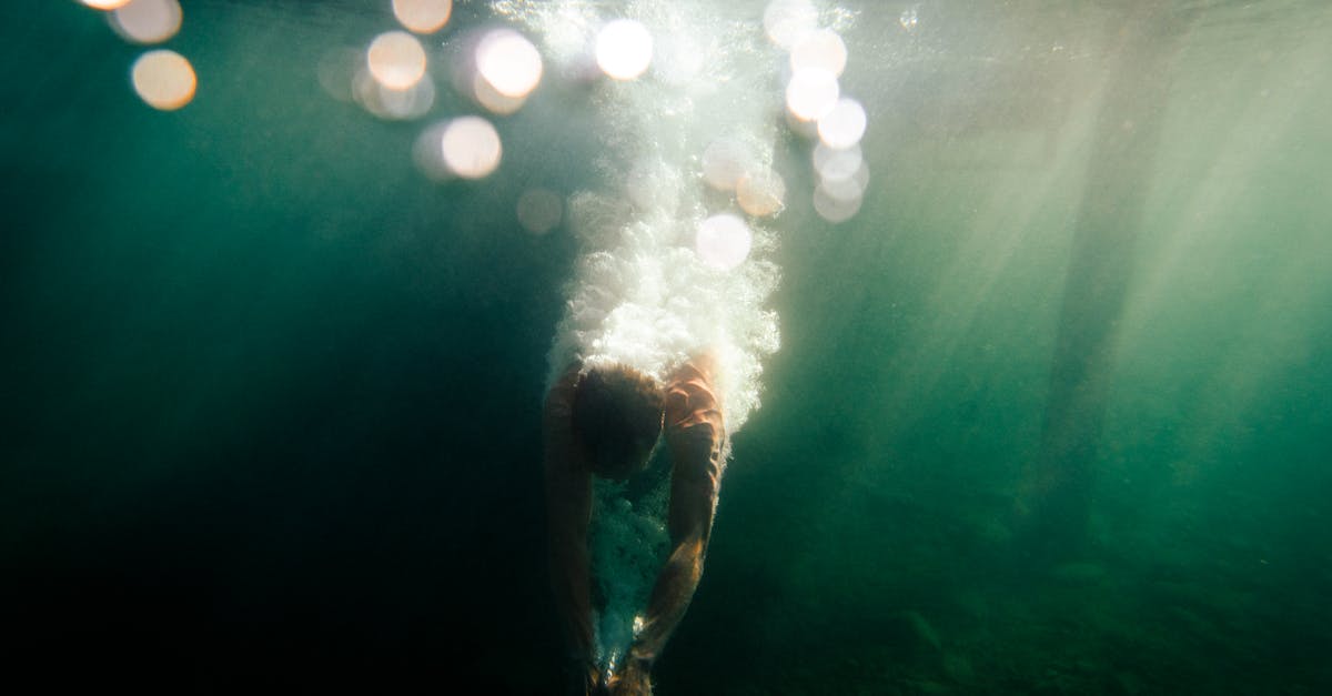 découvrez le coût d'une piscine naturelle, les facteurs qui influencent le prix, ainsi que des conseils pour optimiser votre budget et profiter d'un bassin écologique chez vous.
