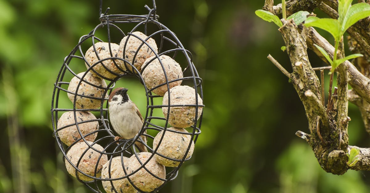 découvrez tout ce qu'il faut savoir sur les pellets : utilisation, avantages, choix, prix et conseils pour un chauffage économique et écologique.