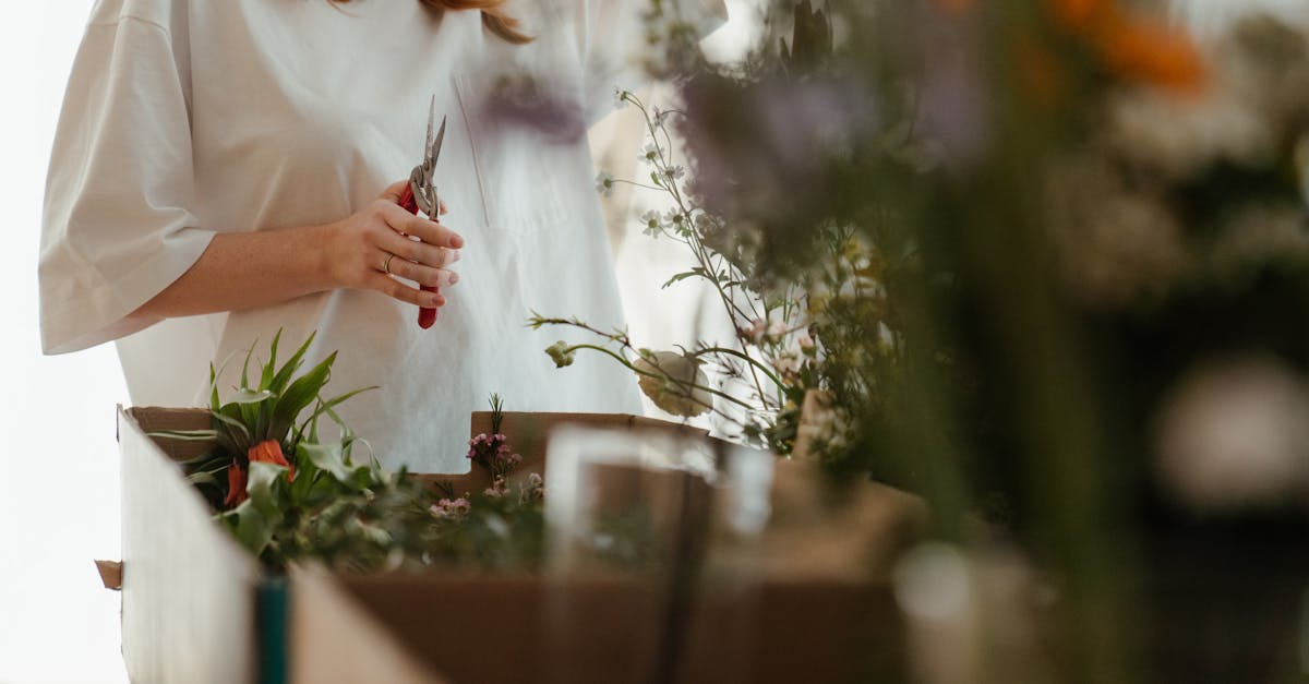 découvrez l'art du pruning : techniques et conseils pour tailler vos arbres et arbustes afin de favoriser leur croissance, améliorer leur santé et optimiser leur floraison au jardin.