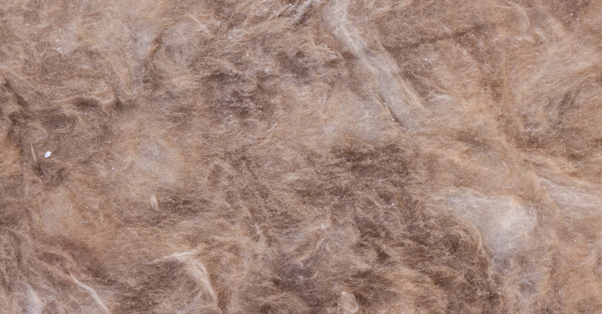 découvrez l'isolation en laine de roche : une solution performante pour améliorer l'isolation thermique et acoustique de votre maison, résistante au feu et durable.