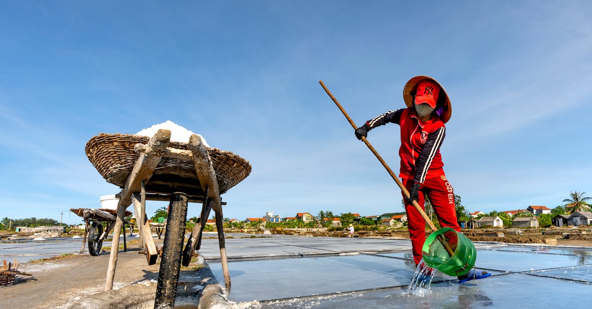 découvrez le chlorate de sodium, un composé chimique utilisé principalement dans la fabrication de papier, le traitement de l'eau et comme agent oxydant. informez-vous sur ses propriétés, usages industriels et précautions de sécurité.