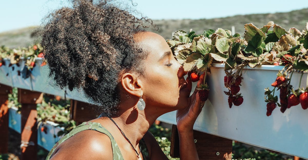 découvrez tous nos conseils pour la plantation de fraises : période idéale, préparation du sol, astuces d’entretien et variétés à privilégier pour réussir votre culture de fraisiers et récolter de délicieux fruits rouges.