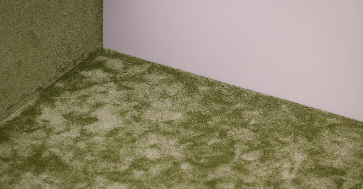 profitez d’un service professionnel de nettoyage de tissus d’ameublement pour redonner éclat, fraîcheur et longévité à vos fauteuils, canapés et chaises. éliminez efficacement taches, allergènes et mauvaises odeurs !