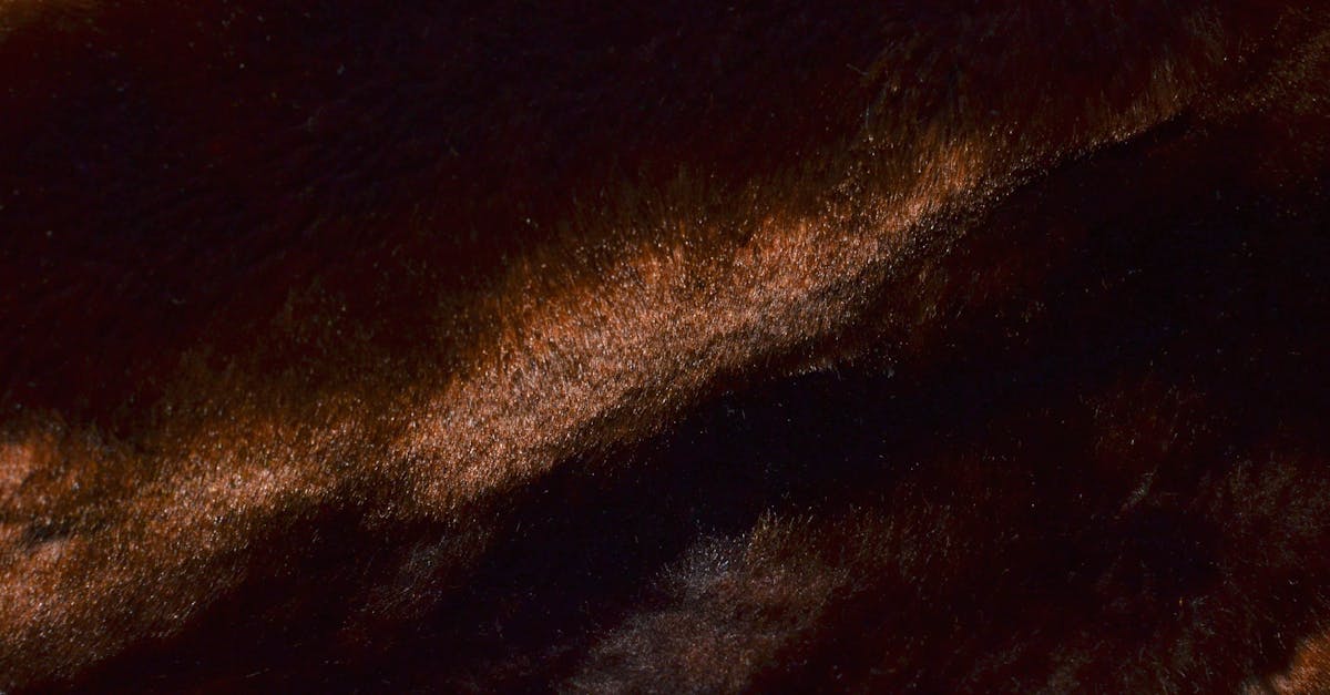 profitez d’un service professionnel de nettoyage de tissus d’ameublement pour redonner éclat et fraîcheur à vos meubles. éliminez taches, allergènes et mauvaises odeurs grâce à notre expertise en nettoyage de canapés, fauteuils et chaises.