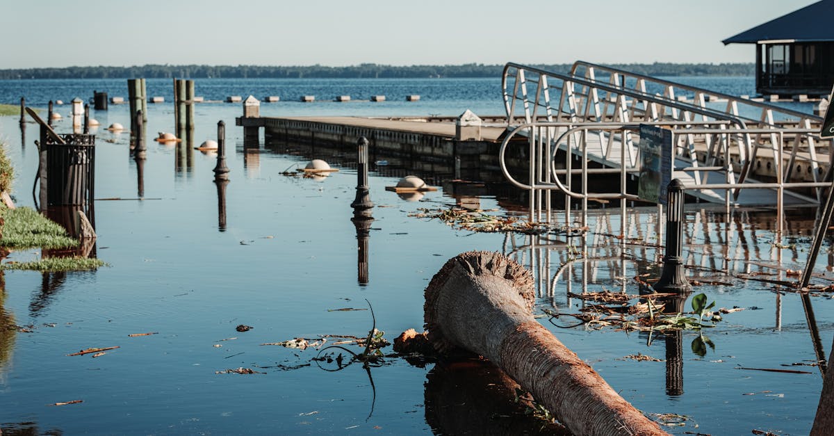 découvrez comment rédiger un rapport de dégâts des eaux complet : éléments à inclure, conseils pratiques et démarches à suivre pour une indemnisation rapide.